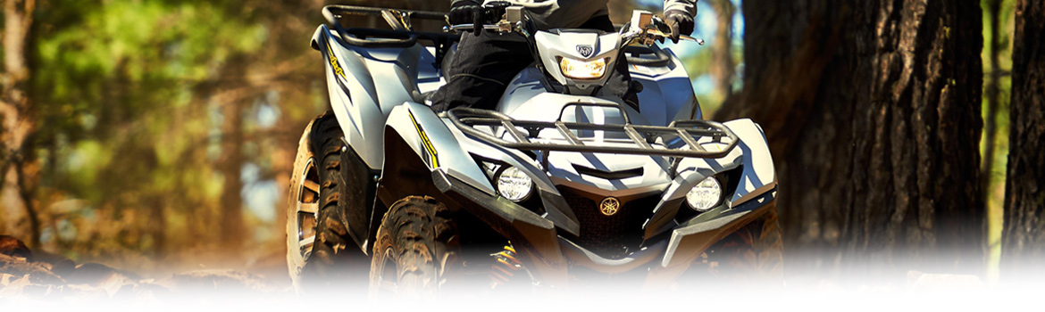 2017 Yamaha Grizzly EPSSE In the rocky road, available in Platinum Powersports,