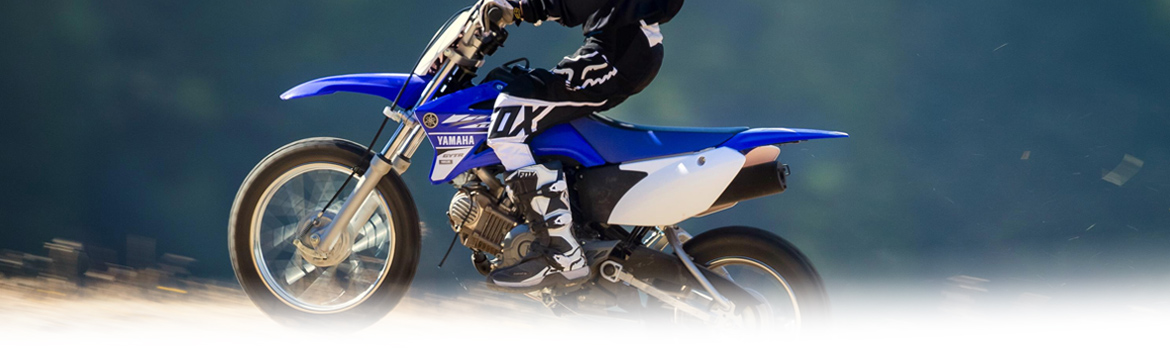 2017 Yamaha TTR110E Motorcycle race, available in Platinum Powersports, 