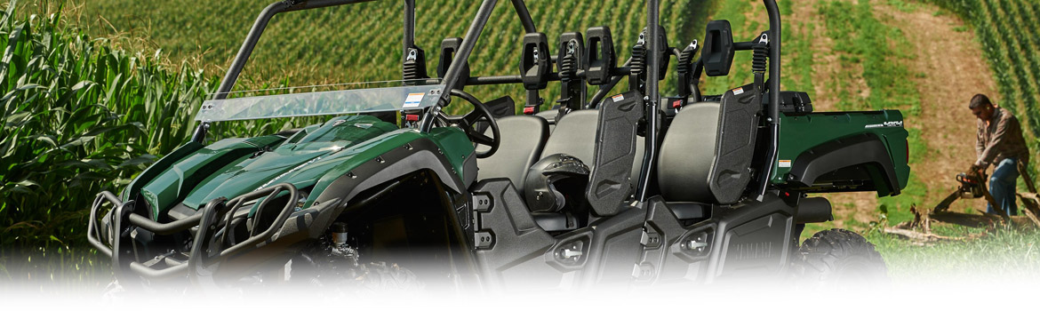 2017 Yamaha VI Viking EPS Beatiful day on the farm, available in Platinum Powersports,